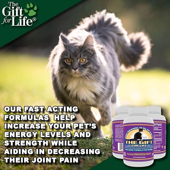 Feline Peptides, Peptides for Cats, Life Extending Cat Supplement, Immune Supplement, Joint Supplement, Skin and Coat Supplement for Cats, 60 Tablets-PurrikoPets