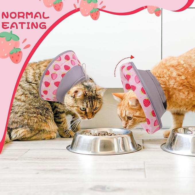 EXPAWLORER Cat Recovery Cone Collar- Soft Adjustable Pet Collar for After Surgery, Waterproof Elizabethan Protective Collar, Stop Licking Donut for Small Medium Kittens (Strawberries M (8.5-12 in))-PurrikoPets