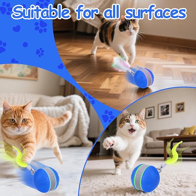 AIERSA Interactive Cat Toys for Indoor Adult Cats, Automatic Self-Play Cat Ball Toy for Kitten to Keep Them Busy, Electric Moving Chase Toy (Blue)-PurrikoPets