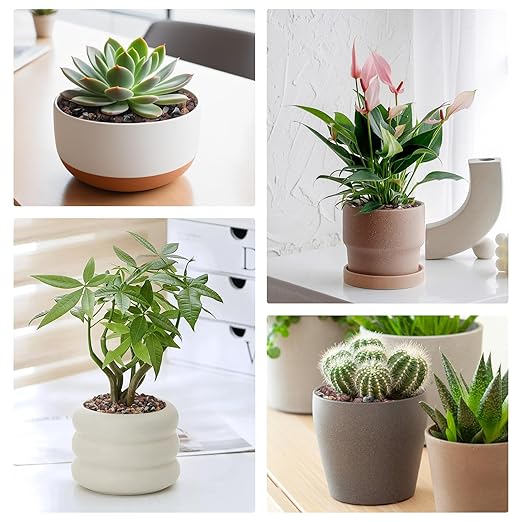 2.5lbs Small Rocks for Terrarium, Planters Drainage, 1/5 Inch Lava Rock for Bonsai Tree, Decorative Gravel for Succulents, Bamboo, Cactus, Mixed Color-PurrikoPets