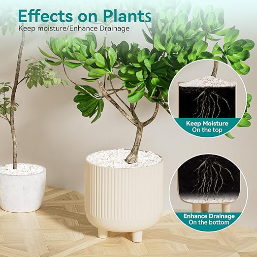 5 lbs Small White Rocks for Planters, 3/8" White Pebbles for Vases, Decorative Small Stones for Plants, Succulents, Bamboo, Terrarium, Landscape, Garden-PurrikoPets