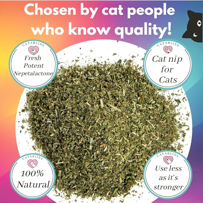 1oz Cat Nip for Cats, Turbo Charging Blend for Refillable Catnip Toys, 100% Essential Natural Cat Weed Treat, Non-Addictive, Enhancing Play for Indoor Cats-PurrikoPets