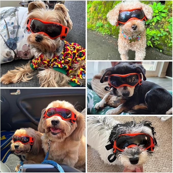 Dog Goggles Dog Sunglasses for Small Breed UV Protection Windproof with Adjustable Head Straps Chin Straps for Ride Car/Hiking Travel/On Beach-Orange-PurrikoPets
