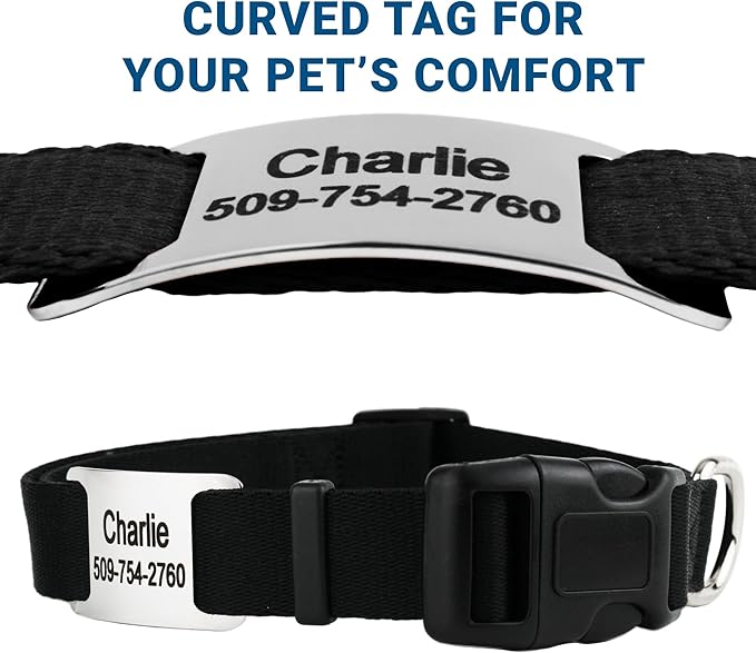 GoTags Personalized Dog Collar with Nameplate, Adjustable Dog Collar with Custom Engraved Slide On Pet ID Tag in Stainless Steel, Silent, No Noise Dog Tag (Charcoal, Medium)-PurrikoPets
