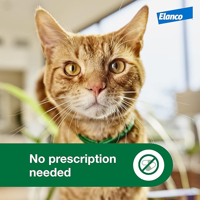 Advantage XD Large Cat Flea Prevention & Treatment For Cats over 9lbs. | 2-Topical Doses, 2-Months of Protection Per Dose-PurrikoPets