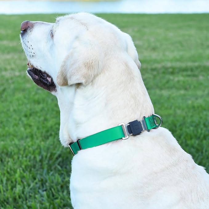 Dogline Biothane Waterproof Dog Collar with Herm Sprenger Black Stainless Steel Quick Release Buckle – Heavy Duty Tactical Durable Collar for Dogs – Comfortable and Safe Pet Collar W 1" L 15-25" Teal-PurrikoPets