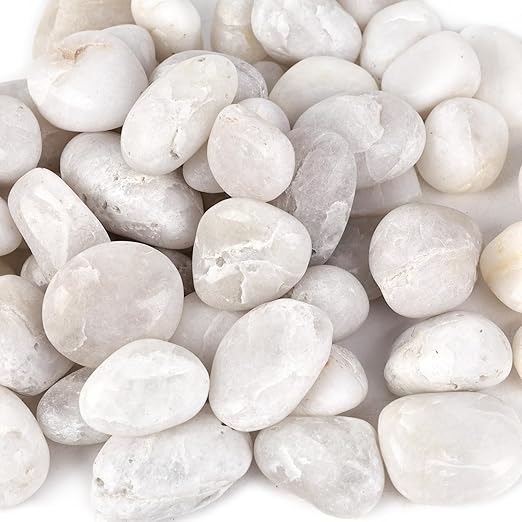 DomeStar 2.7lb White River Rocks, Polished Pebbles Decorative White Stones for Landscaping Vase Filler Fish Tank Aquariums Garden Outdoor and Indoor DIY-PurrikoPets