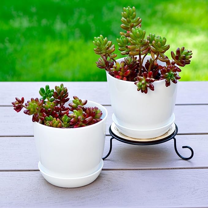 50 Pack 4 Inch Plant Pots Bulk Small Plastic Planters Pots with Drainage Holes Flower Pot for Succulent, Cactus, Herb, African Violet (50pcs-White, 4Inches)-PurrikoPets