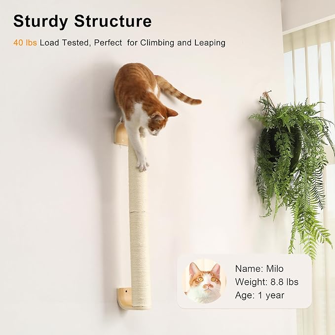 FUKUMARU Cat Wall Scratcher, 28" Wall Mounted Kitten Scratching Post, Sturdy Sisal Climbing Tree for Indoor Cats-PurrikoPets