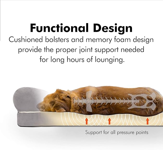 Friends Forever Small Dog Bed, Orthopedic Sofa Memory Foam Mattress, Calming Couch, Wall Rim Pillow, Water Resistant Liner, Washable Cover, Non-Slip Bottom, Chester, Small Khaki Beige-PurrikoPets