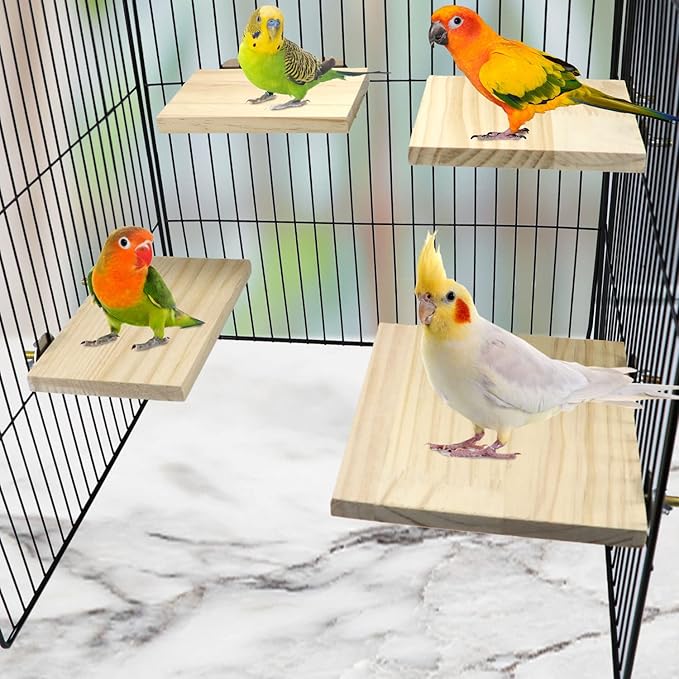 2pcs Bird Perch Platform Flat Stand Beak Paw Grinding Wood for Parrot Parakeet Cockatiel Lovebird Conure Finch Budgie-PurrikoPets