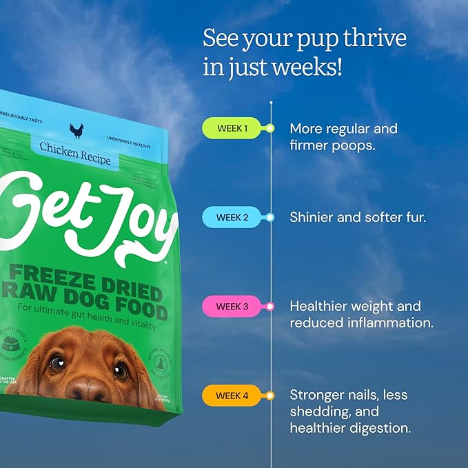 Get Joy Gut Health Fresh Freeze Dried Raw Meal, Chicken Recipe, 32 Ounce Bag, Dog Food for Dogs of All Breeds and Life Stages, PhD Animal Nutritionist Formulated, Made in USA-PurrikoPets