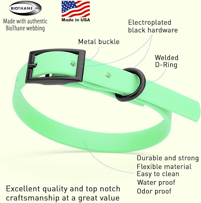 Dogline Biothane Waterproof Dog Collar Strong Coated Nylon Webbing with Black Hardware Odor- Proof for Easy Care Easy to Clean High Performance Fits Small Medium or Large Dogs, Sea Foam Green-PurrikoPets