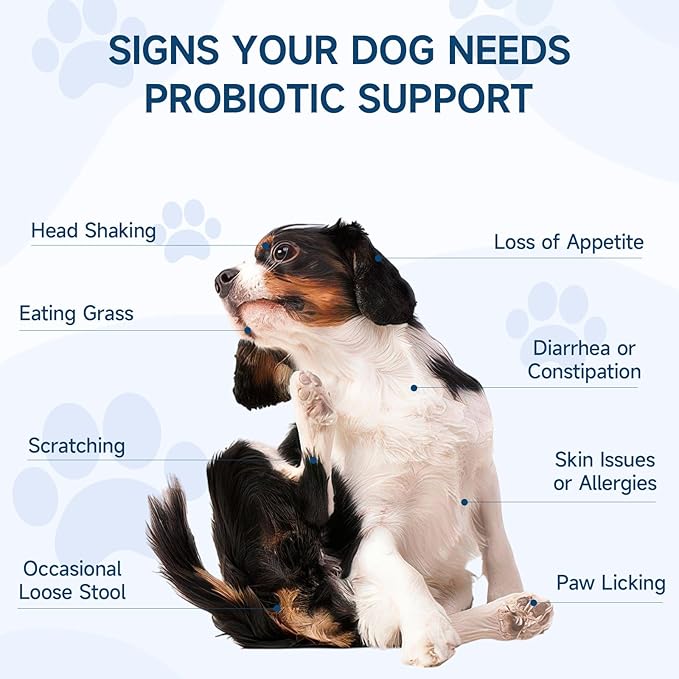 Dog Probiotic for Dogs, 200 Soft Treats Dog Probiotics for Digestive Health & Immune System, Probiotic Chews for Dogs, Support Gut Health|Itchy Skin|Diarrhea|Gas Relief Treatment-PurrikoPets