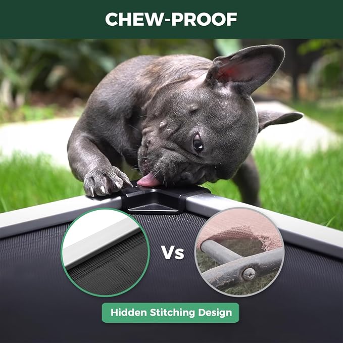 FXW TitanNest Chew-Proof Elevated Dog Bed, Raised Cot for Indoor/Outdoor/Camping Use, Durable & Waterproof Cooling Pet Bed for Large Dogs, 50.0" L x 31.0" W x 7.3" H, Black-PurrikoPets