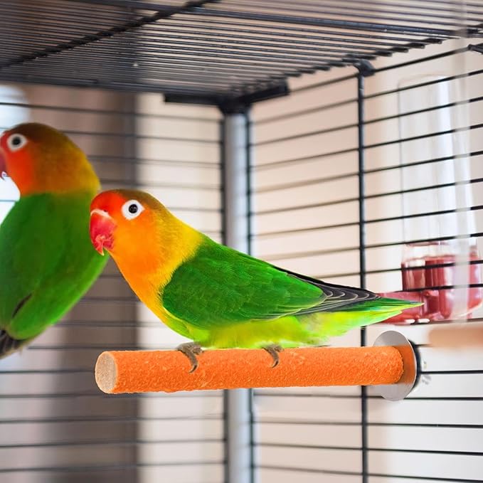 8 Pcs Bird Perch Stand Toy, Colorful Wood Parrot Perch Stand Platform Paw Grinding Stick, Bird Cage Accessories for Budgies,Parakeet,Cockatiel, Lorikeet, Conure-PurrikoPets