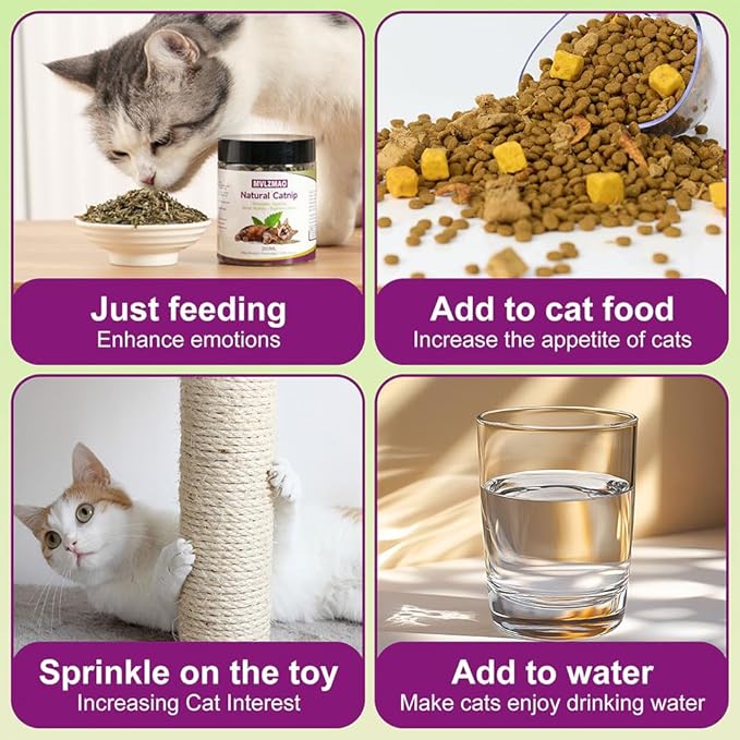 210ML Organic 100% Natural Catnip Cattle Grass Mint Taste Funny Cat Toy New Cat Toy Interactive Cat Toys Pet Supplies-PurrikoPets