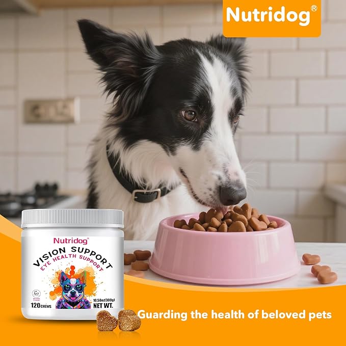 Eye Supplements for Dogs - Vision Support Soft Chews with Lutein, DHA & Vitamin C | 120ct Salmon Flavor Tear Stain Chews | Cataract & Dry Eye Relief Supplement (120 Ct, Salmon)-PurrikoPets