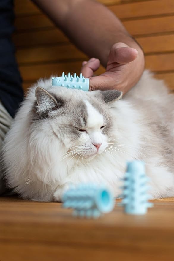 Furr&Purr Cat Brush Set for Indoor Cats - Grooming Tools: Face Scratcher, Calming Massager, and Scratching Pad (2-Pack, Made in the USA)-PurrikoPets