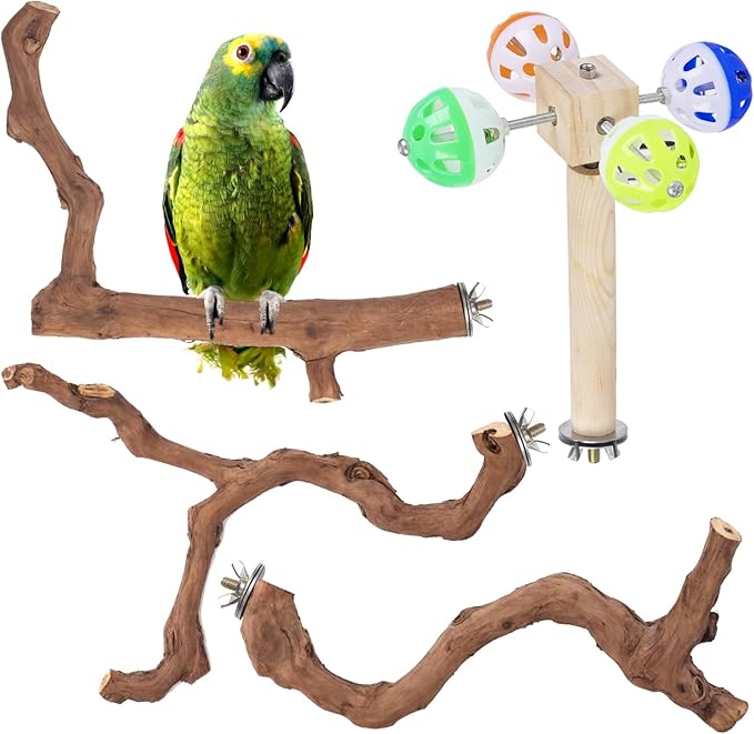 4-Piece Bird Perch Set with Rotating Ball Stand - Natural Wood Bird Gym & Playground for Parrots, Cockatiels, Budgies-PurrikoPets