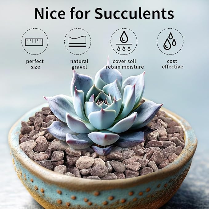 5 lbs Succulent and Cactus Pebbles for Indoor Plants, 3/8 Inch Pea Gravel Decorative Red River Rocks for Plants, Vases, Terrarium, Aquarium, Potted Top Dressing and Outdoor Landscaping Stones-PurrikoPets