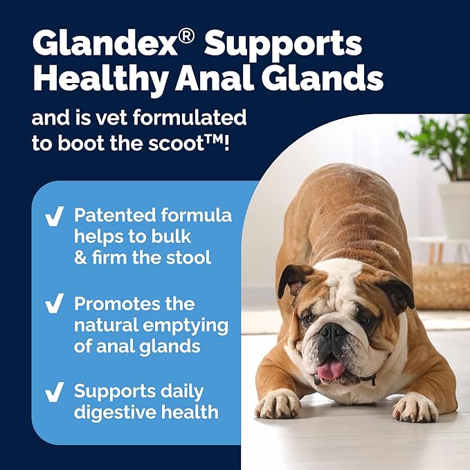 Glandex Dog Fiber Supplement Powder for Anal Glands with Pumpkin, Digestive Enzymes & Probiotics - (Regular or Advanced Strength) - Boot The Scoot (8.5 oz, Advanced Strength Duck & Bacon)-PurrikoPets