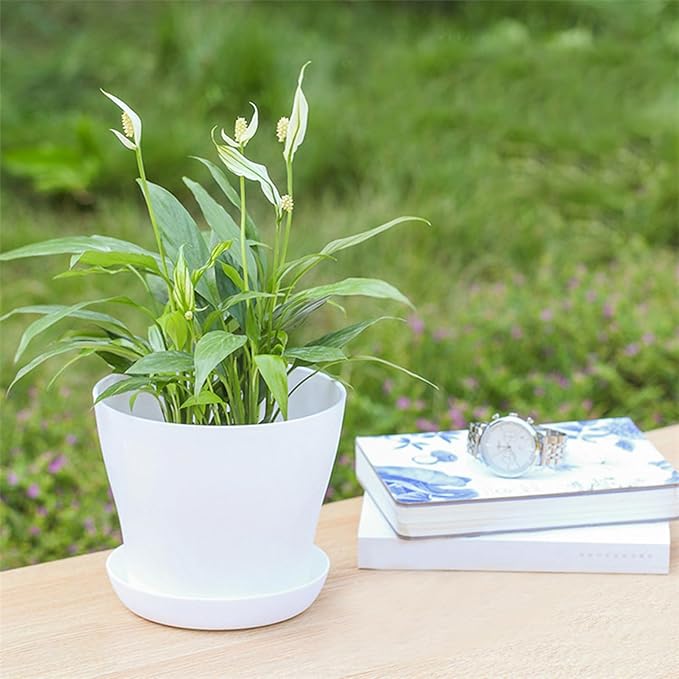 50 Pack 4 Inch Plant Pots Bulk Small Plastic Planters Pots with Drainage Holes Flower Pot for Succulent, Cactus, Herb, African Violet (50pcs-White, 4Inches)-PurrikoPets