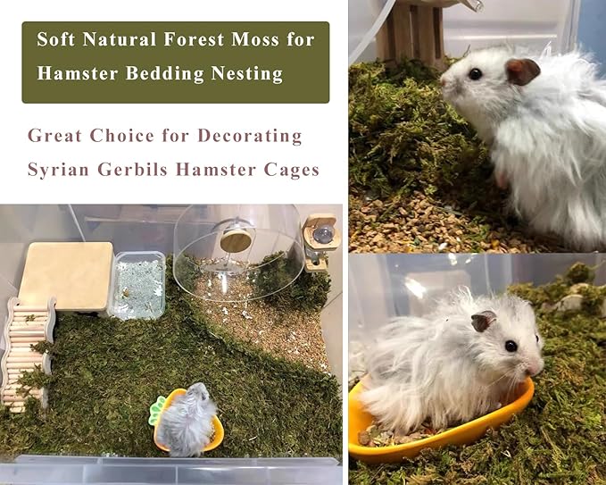 5L Forest Moss for Hamster Syrian Gerbils Bedding, Natural Moss Perfect for Potted Plants, Terrariums, Reptile Tanks and Live Creature Projects-PurrikoPets