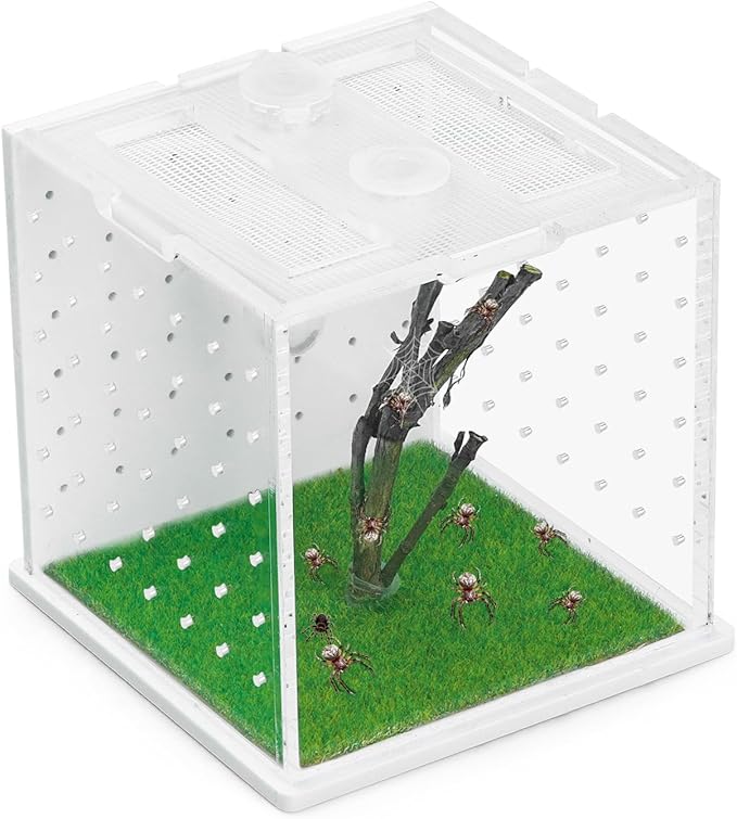 Acrylic Jumping Spider Enclosure, 2.95×2.95×2.87in Transparent Reptile Terrarium, Versatile Tarantula Enclosure for Small Reptiles/Insects, Small Reptile Tank with Dropper, Jumping Spider Accessories-PurrikoPets