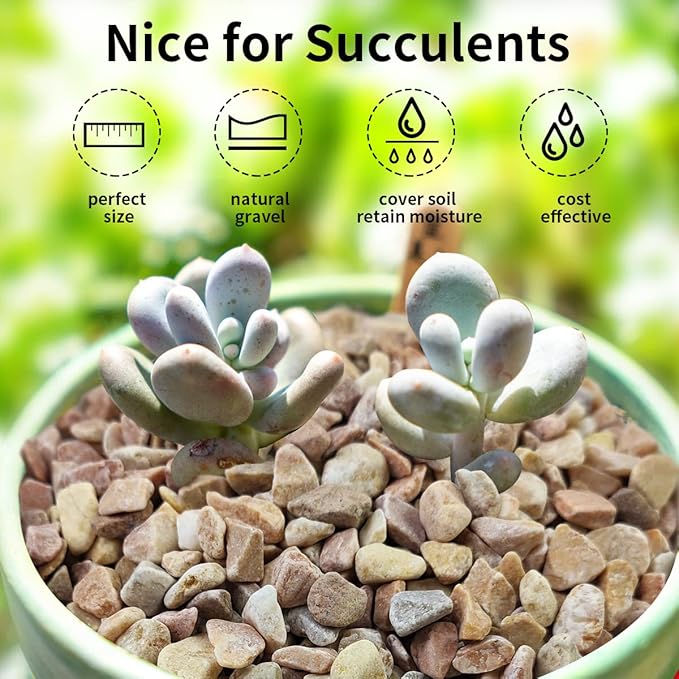 2 lb Natural Pea Gravel Small Pebbles - 3/8 Inch Pebbles for Indoor Plants, Succulents Rocks, Fish Tank Gravel, Terrarium Rocks and Patio Paver Decorative Stones-PurrikoPets