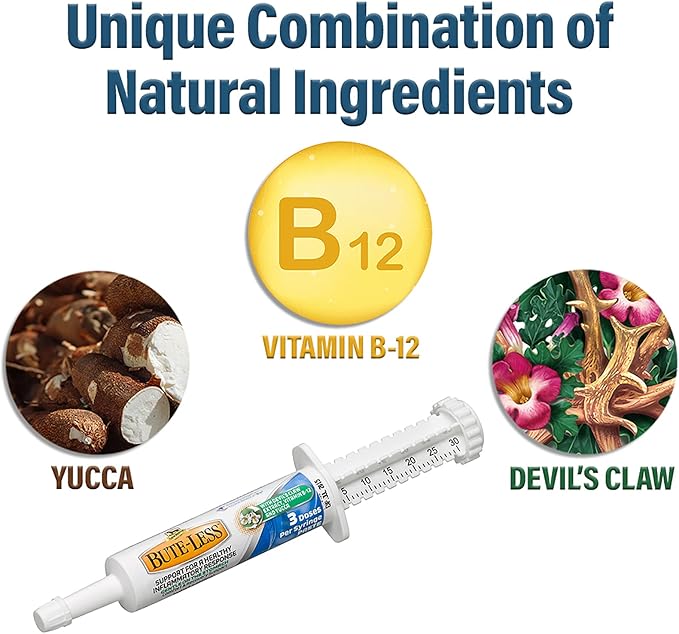 Absorbine Bute-Less Long-Term Horse Comfort & Recovery Supplement Paste, Gentle on Stomach, Devil’s Claw, Vitamin B-12, Yucca, 1oz Syringe / 3 Doses-PurrikoPets