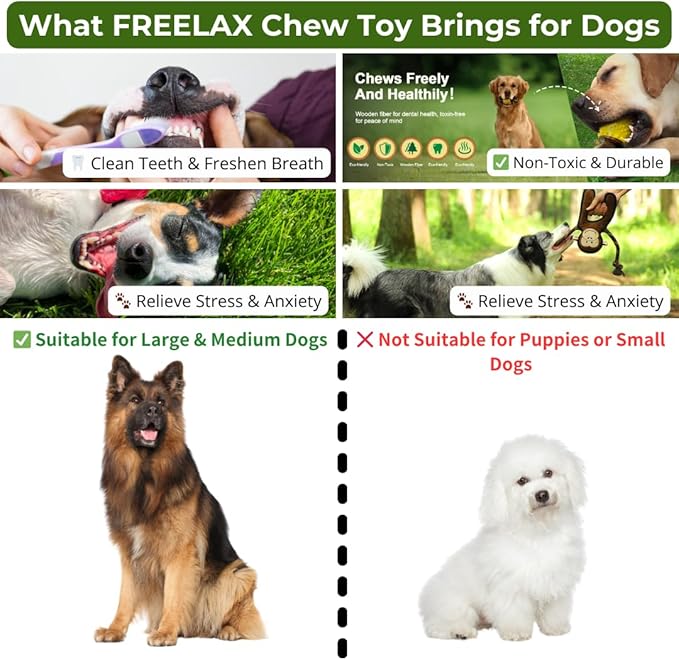 Durable Dog Chew Toys Gift Box – Eco-Friendly Teething Toys for Aggressive Chewers, Plush & Squeaky Toys, Toothbrush, Ideal Gift Basket for Medium & Large Dogs-PurrikoPets