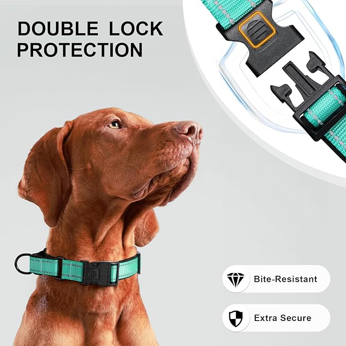 Airtag Dog Collar with Martingale Design, IP68 Waterproof Air Tag Collar Holder, Adjustable Reflective Soft Padded Nylon Dog Collar for Large Medium Small Dogs-PurrikoPets