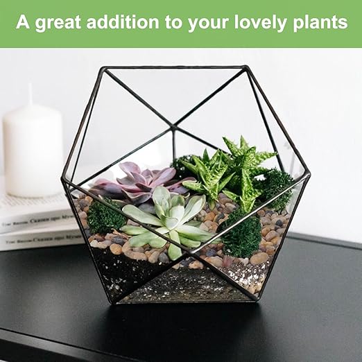 2.5 lbs Drainage Rocks for Potted Plants, 1/5 Inch Small Pebbles for Indoor Plants, Decorative Gravel for Vases, Bamboo, Succulent, Terrarium, Crafts, Cactus-PurrikoPets