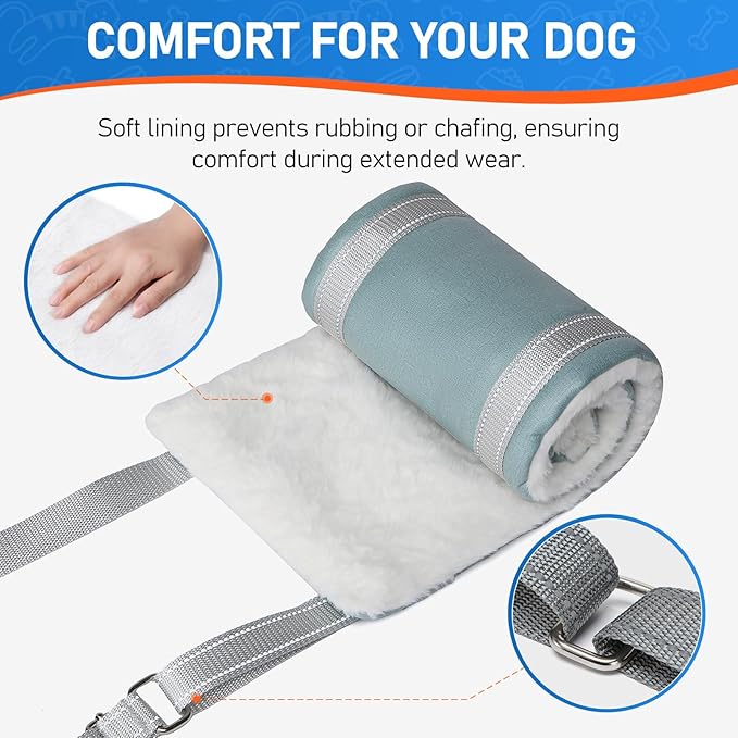 Dog Lift Harness for Large Dogs, Adjustable Dog Sling for Back Legs, Hip Support Harness to Help Lift Dogs Rear for Canine Aid and Old K9 Cruciate Ligament Rehabilitation - Large, Blue-PurrikoPets