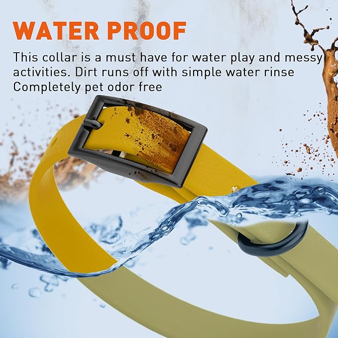 Dogline Biothane Waterproof Dog Collar Strong Coated Nylon Webbing with Black Hardware Odor- Proof for Easy Care Easy to Clean High Performance Fits Small Medium or Large Dogs, Treasure Gold-PurrikoPets