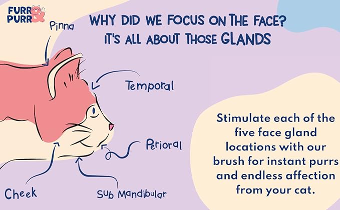 Furr&Purr Cat Brush, Scratcher, and Massager - Indoor Cat Calming Care with Face Scratcher, Finger Brush (3-Pack, Made in USA)-PurrikoPets