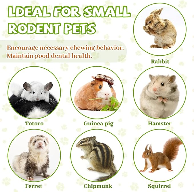 2lb Natural Sweet Bamboo Chew Toys for Small Pets - Organic Molar Sticks with Xylose & Vitamins for Rabbit, Guinea Pig, Hamster - Dental Care & Chewing Entertainment-PurrikoPets