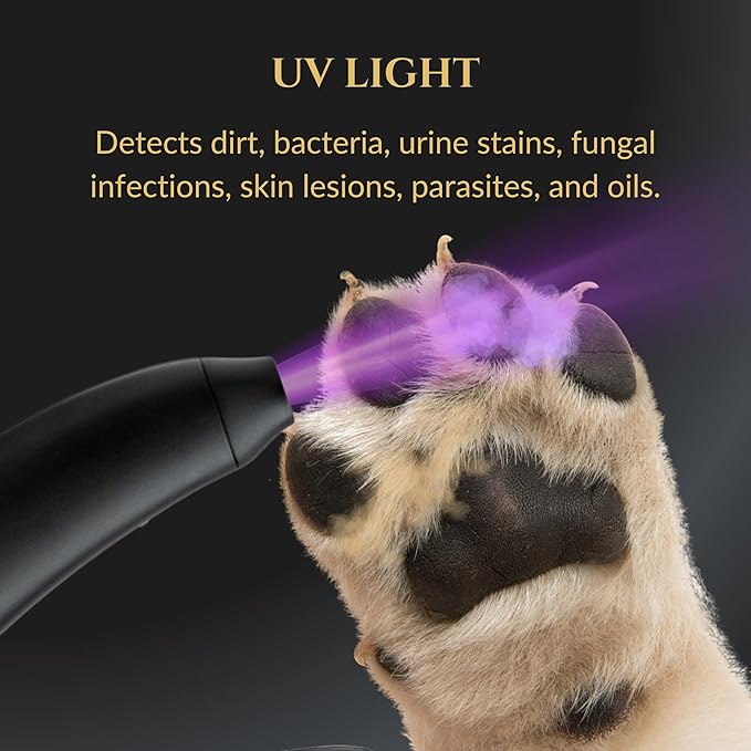 3-in-1 Dog Nail Trimmers and Pet Nail Clippers - Professional Grade with Stainless Steel Blades, LED & UV Light, and Nail Filer for Safety & Precise Toenail Pet Grooming - S to M Dogs-PurrikoPets