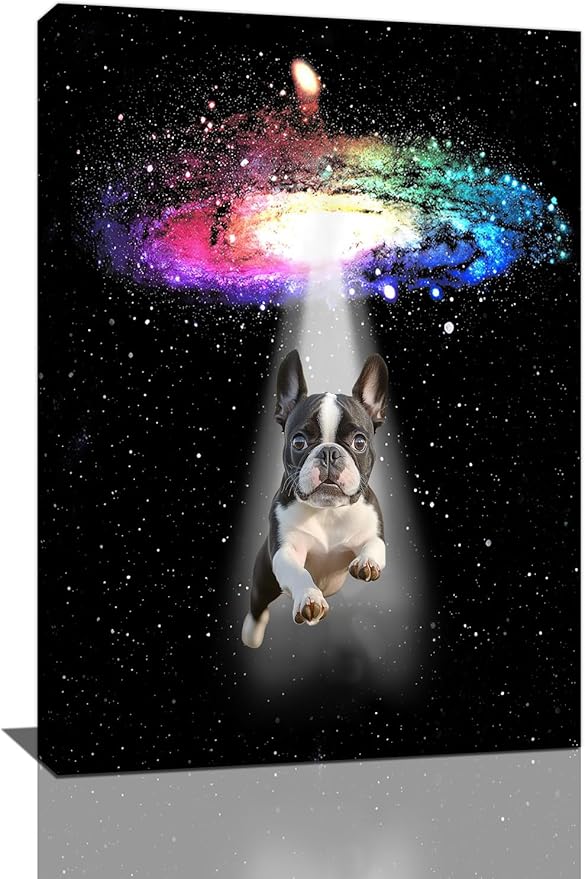 Funny Dog Wall Art Canvas Boston Terrier Wall Decor Prints Framed Painting Bulldog Galaxy Pictures Gifts Artwork for Bathroom 16"x24"-PurrikoPets