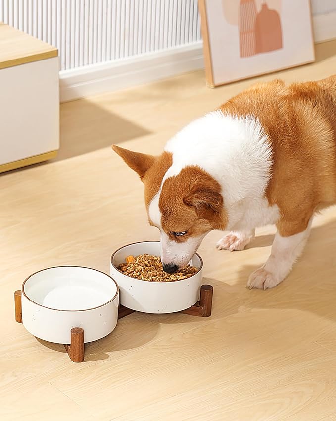 Getstar Ceramic Dog Bowls with Acacia Wood Stand, 30 fl oz, Set of 2, Dog Food Bowl with Colored Rim-PurrikoPets