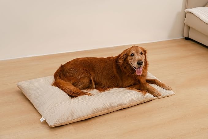 FUNNY FUZZY Washable Dog Bed,Reversible Plush Dog Crate Mat, Soft Fluffy Kennel Pad,Pet Sleeping Mattress for Jumbo,X-Large Sized Dogs Breeds,2XL,48"× 31",Beige-PurrikoPets