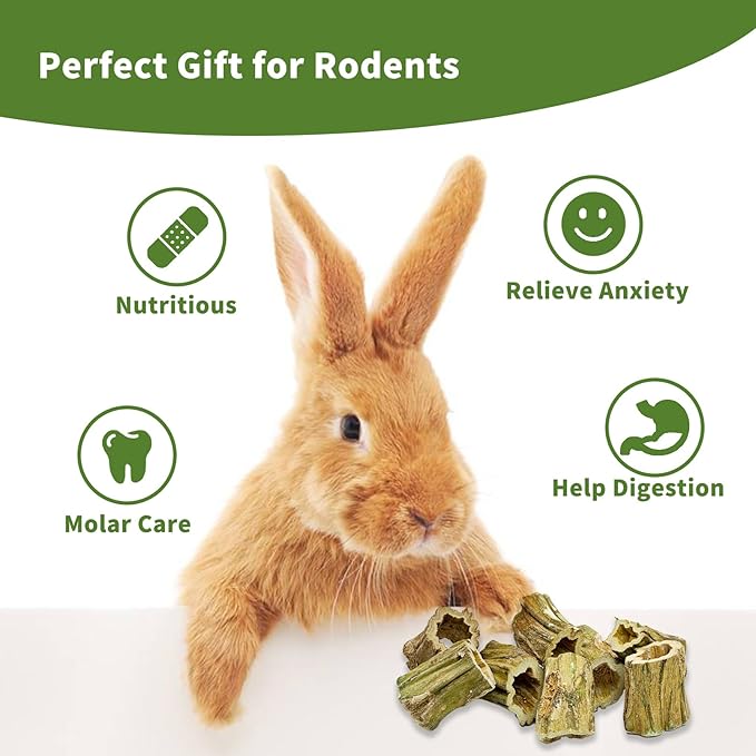 Fhiny Rabbit Chew Toys, 8 PCS 2" Natural Papaya Wood Chew Sticks Guinea Pig Treats for Dental Care Bunny Treats for Rabbits Small Pet Molar Snacks for Bunny Guinea Pig Chinchilla Hamster Gerbil-PurrikoPets