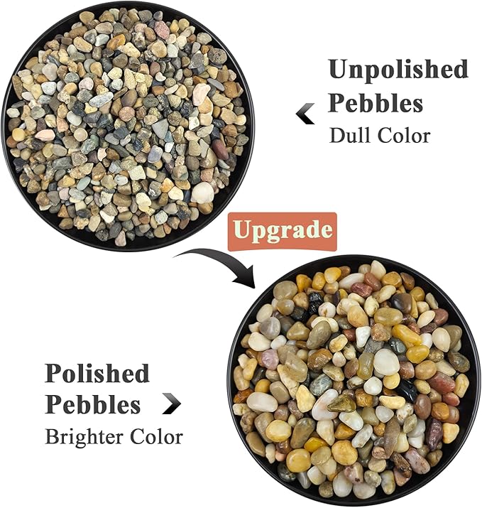 2 Pounds Pebbles for Plants, 3/8 Inch Polished Pea Gravel. Decorative Stones River Rocks for Succulent Soil Cover, Cactus, Aquarium, Vase and Outdoor Garden Landscaping-PurrikoPets
