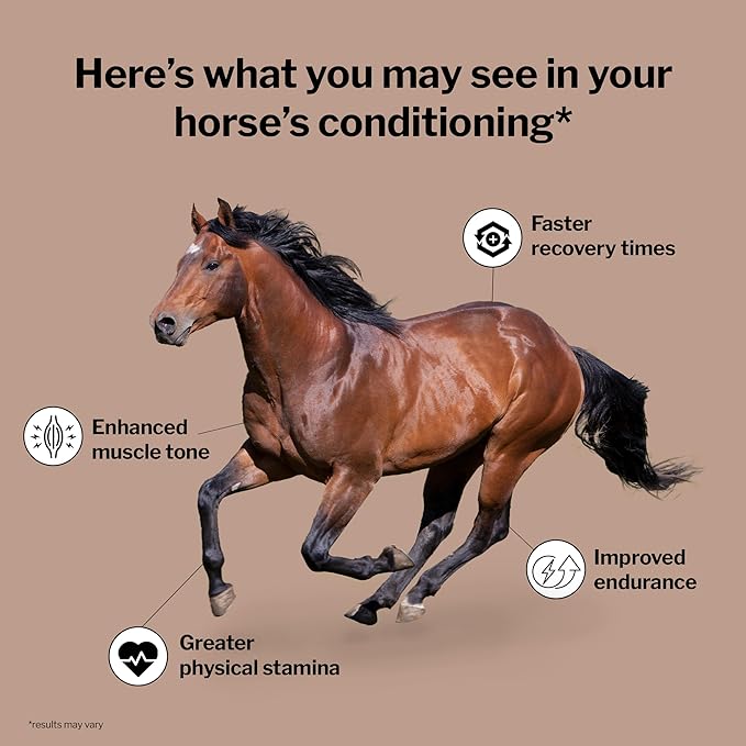 Formula 707 MuscleMx Equine Supplement, 25lb Refill Bag – Conditioning Support and Muscle Builder for Horses with Lysine, Gamma Oryzanol, Creatine & OKG-PurrikoPets