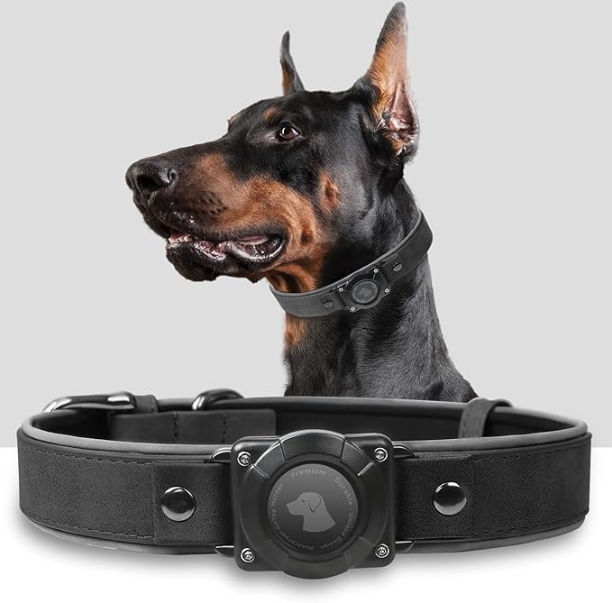 AirTag Dog Collar - Leather Dog Collar with Air Tag Holder | IPX8 Waterproof, Reflective, High - End, Adjustable Soft Padded | Dog GPS Tracker Collars Fit for Medium Large Dogs (Black, M)-PurrikoPets