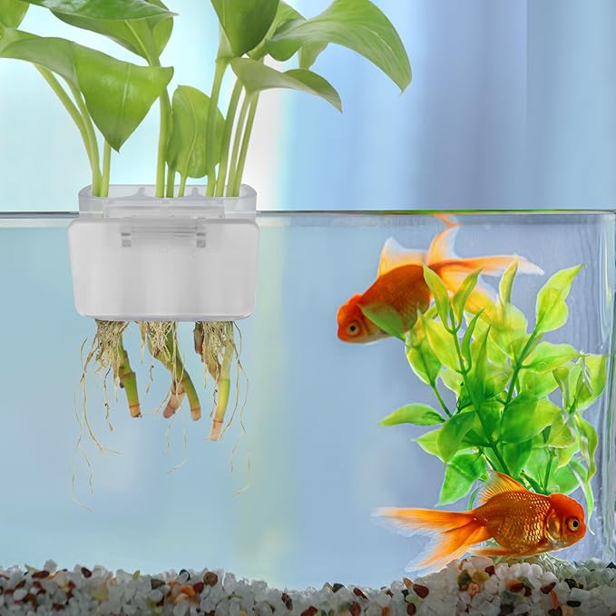 3 Holes Upgraded Aquatic Plant Cup Aquarium Plant Holder for Tank,Hanging Aquarium Plant Holder,Aquarium Aquatic Plant Cultivation,Aquarium Plant Decoration. (White 2PCS)-PurrikoPets