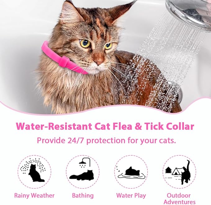 4 Pack Flea and Tick Collar for Cats, Natural Plant Oil Formula Cat Flea Collar Provides 32-Month Protection for Flea & Tick Prevention, Waterproof & Adjustable Cat Flea Treatment for Most Cats-PurrikoPets