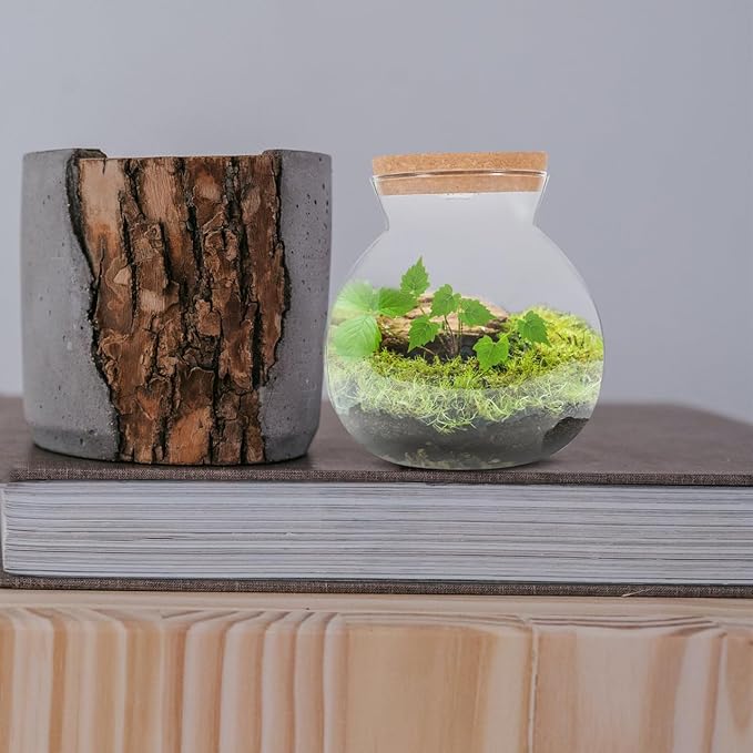 Fish Bowl with LED Light - Small Betta Fish Tank with LED Lighting and Lid Glass Fish Bowl Small Aquarium for DIY Landscape-PurrikoPets