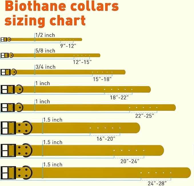 Dogline Biothane Waterproof Dog Collar Strong Coated Nylon Webbing with Black Hardware Odor- Proof for Easy Care Easy to Clean High Performance Fits Small Medium or Large Dogs, Treasure Gold-PurrikoPets